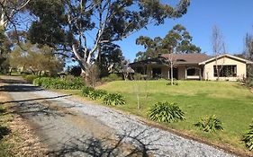 Peaceful 4-Bedroom Vineyard Retreat In Hahndorf